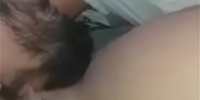 licking,pussy